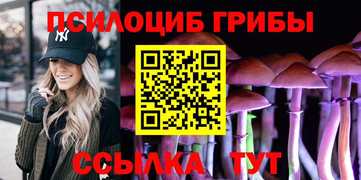 Димитровград  Галлюциногенные грибы ЛСД  Вход с VPN 